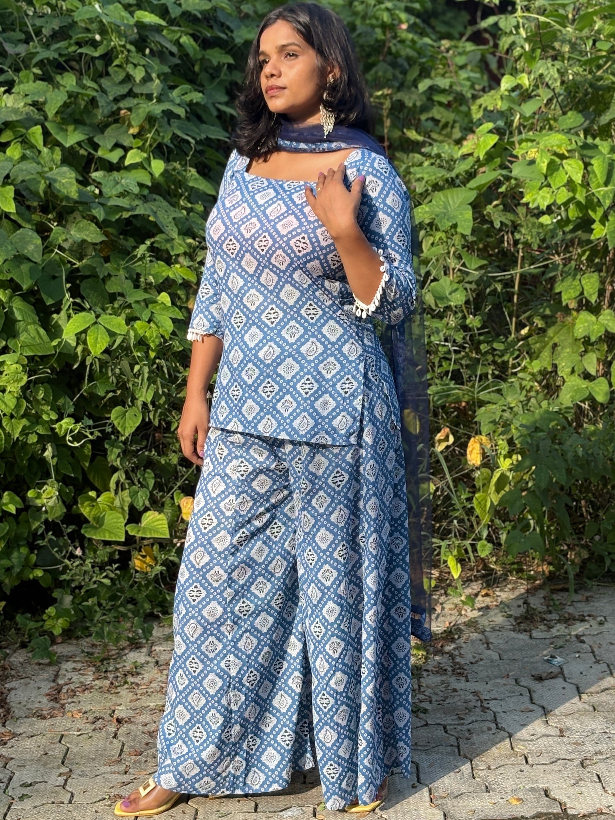 Neelima Sarara Set