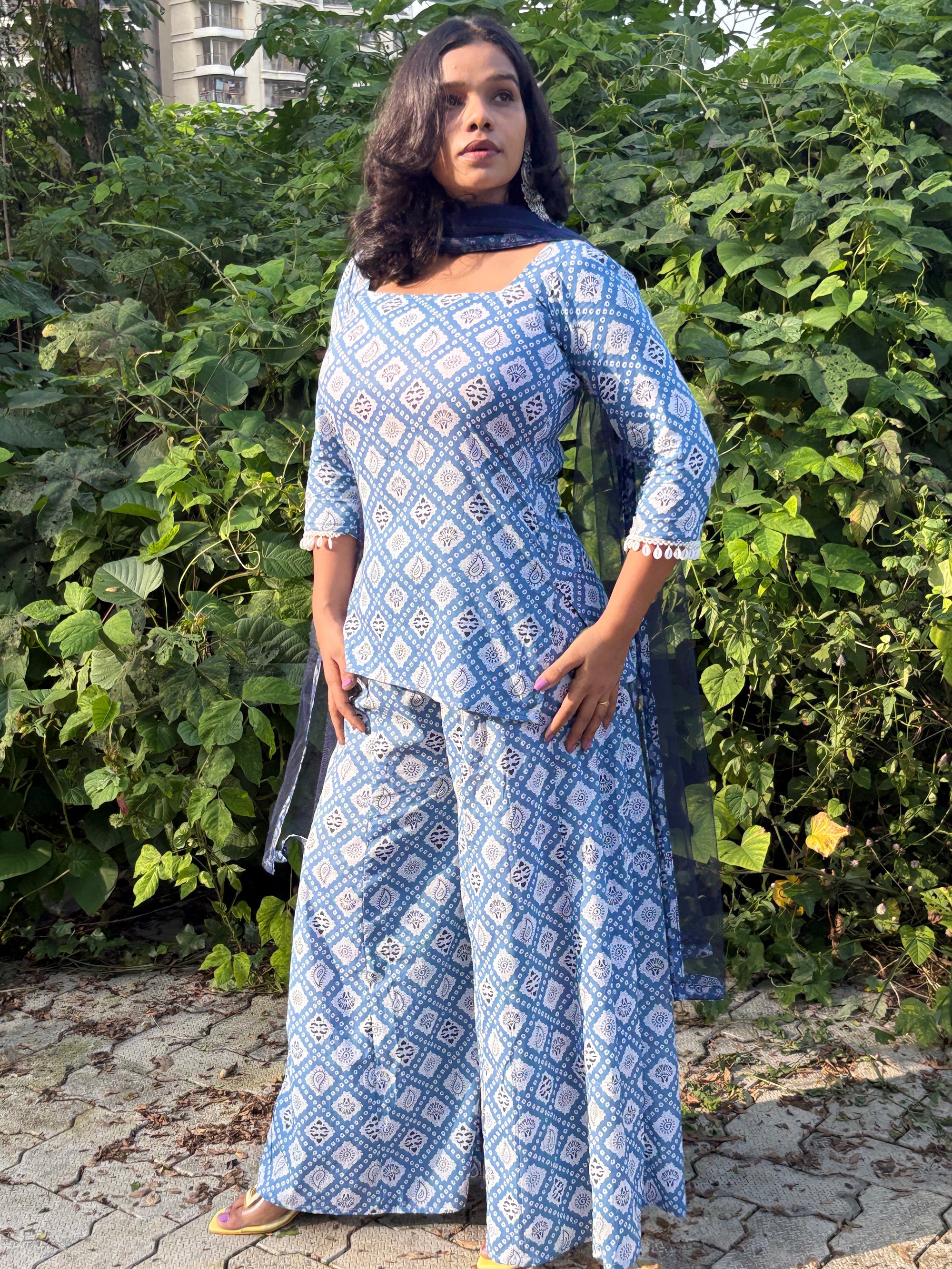 Neelima Sarara Set