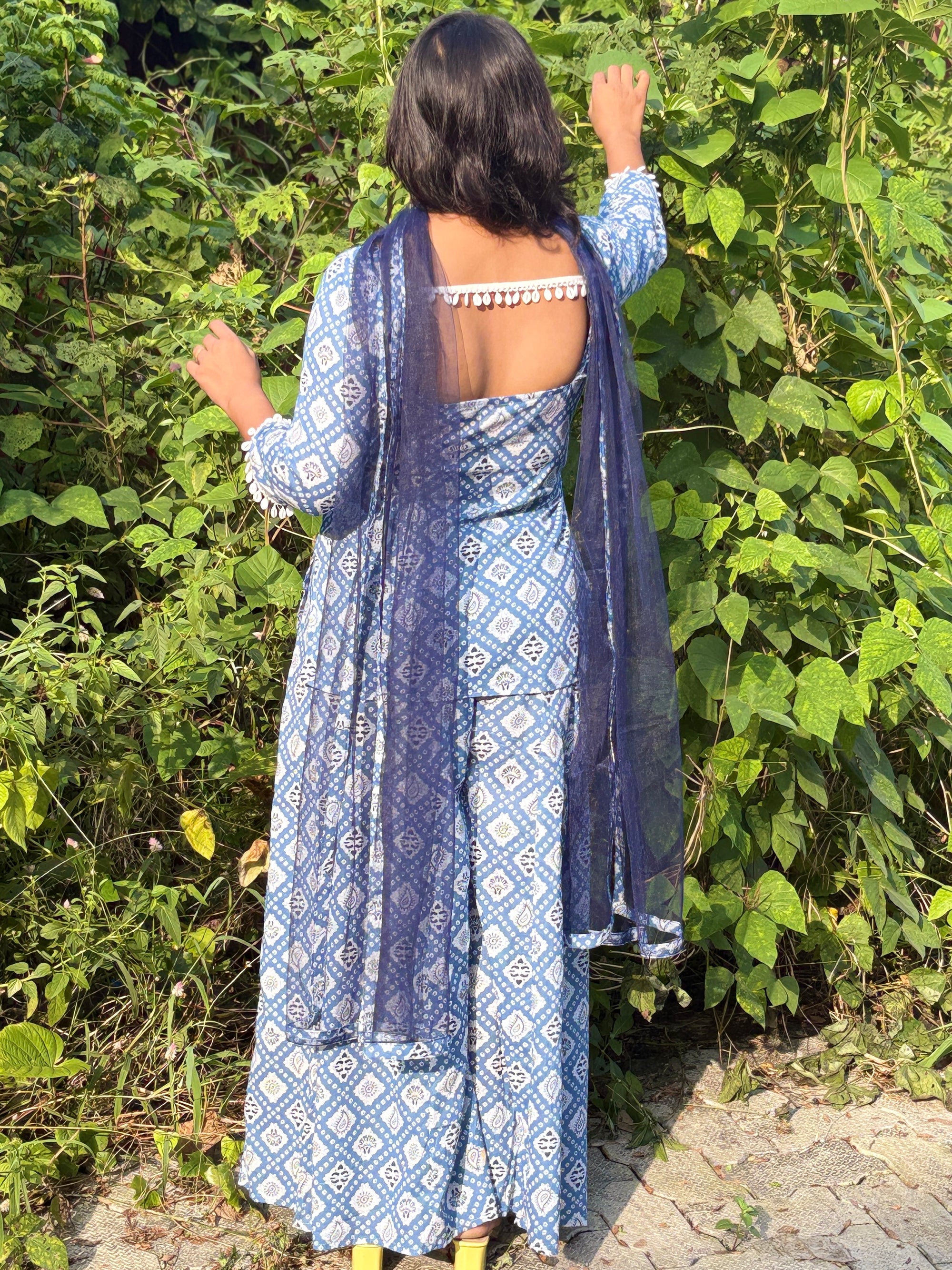 Neelima Sarara Set